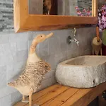 شقة فندقية Spiti Nikos Danilia
